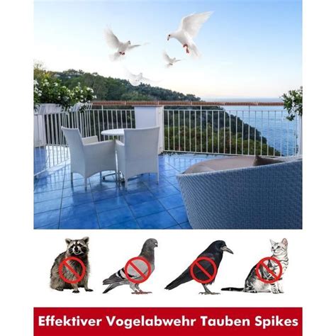 Pic Anti Pigeon M Anti Pigeons Pour Balcon Plastique Kit Pic Anti Chat