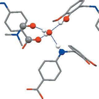 A view of hydrogen-bonding interactions around the water molecule in ...