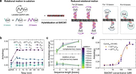 Figure From Rational Design Of Carbon Nanotube Biosensors With