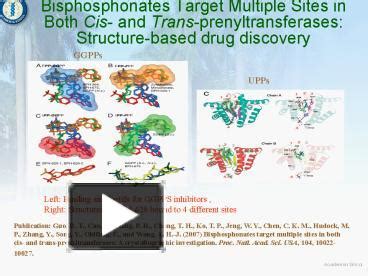 Ppt Bisphosphonates Target Multiple Sites In Both Cis And