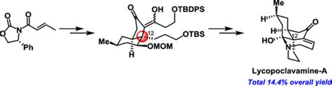 Asymmetric Total Synthesis Of Fawcettimine Type Lycopodium Alkaloid