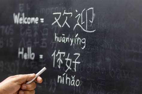 Alasan Penting Belajar Kosa Kata Bahasa Jepang Untuk Pemula Edukasi