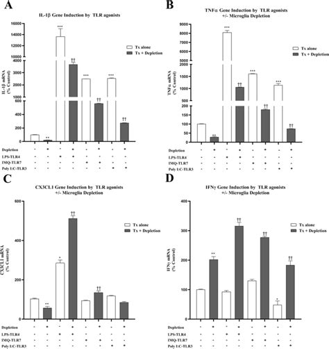 Microglial Depletion Blunts Proinflammatory Gene Induction To Tlr