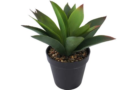 Künstliche Aloe Vera im Topf mit Steindeko Höhe 22 cm Pflanze grün