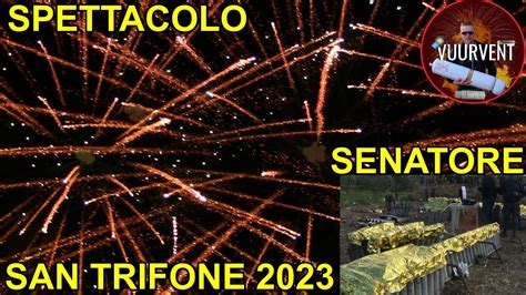 Spettacolo Senatore Festa San Trifone Adelfia Fireworks