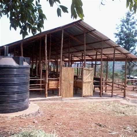 Gallery Acre Africa
