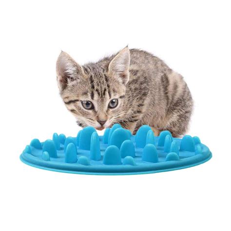 Silicone Cat Bowl Manufacturer Silicone Pet Bowl For Water Feed