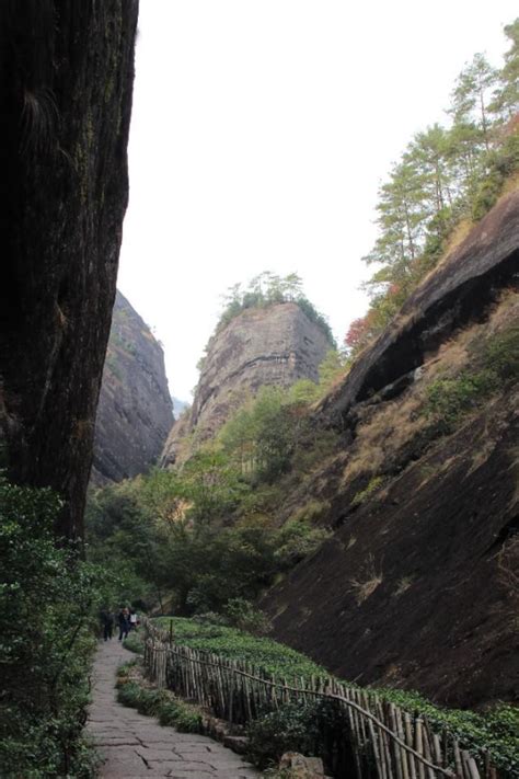 世界自然文化雙遺產～武夷山精華游 每日頭條