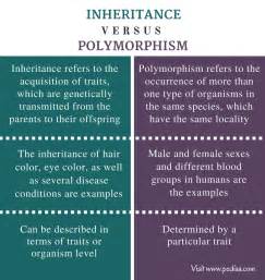 Difference Between Inheritance and Polymorphism | Definition, Characteristics, Types