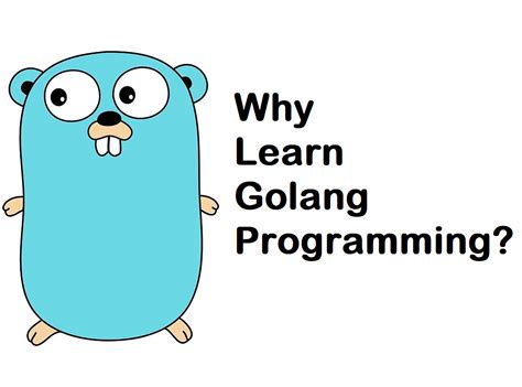 The Future Of Programming Will Be In Golang