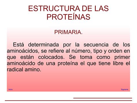 Estructura De Las Proteinas Ppt