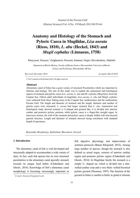 (PDF) Anatomy and Histology of the Stomach and Pyloric Caeca in ...