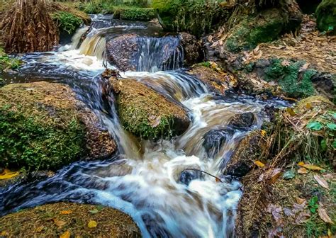 Walks Through Wyming Brook Nature Reserve Hidden Wilderness Baldhiker