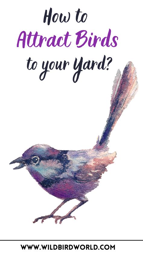 How To Attract Birds To Your Yard