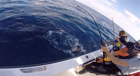 December Yellowfin Tuna Fishing In Cape Town With Hooked On Africa On