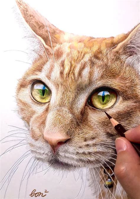 色鉛筆で描いたネコ 色鉛筆画 猫と人の日 ぼんぼんのイラスト