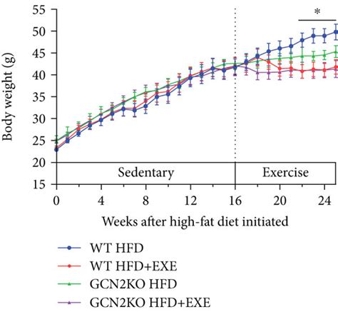 Effects Of Exercise On Body Weight Liver Weight Liver Triglycerides