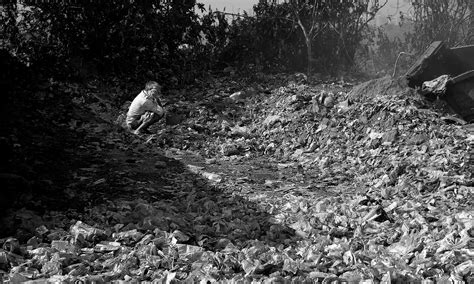 Banco de imagens árvore floresta Rocha Preto e branco pessoas