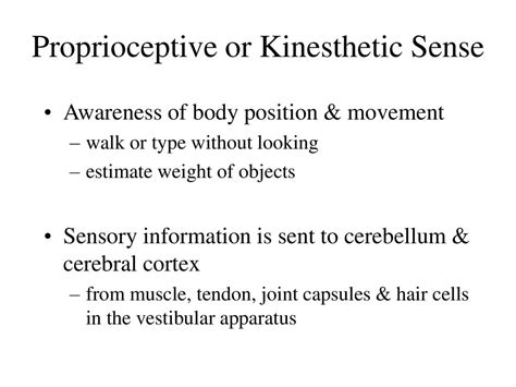 Sensory And Motor Pathways Ppt Download