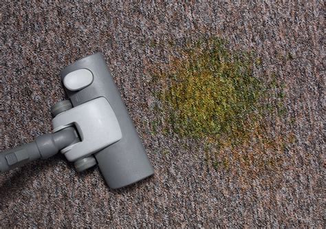 How To Get Old Stains Out Of Your Carpet 4 Easy Ways