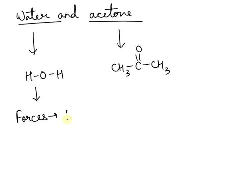 Solved Draw The Structure Of Water And Acetone Identify The Predominant Intermolecular Forces