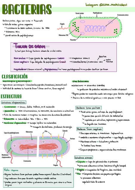 Resumen Bacterias Microbiología Bacterias uDocz