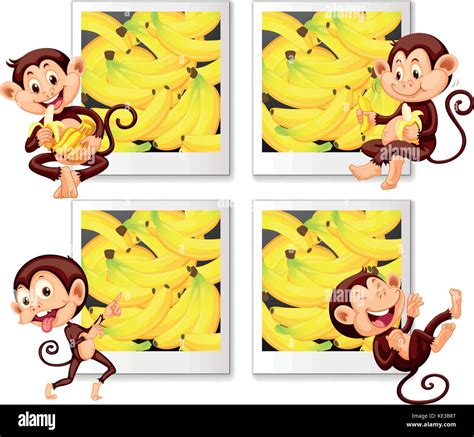 Mono comiendo banana clipart fotografías e imágenes de alta resolución