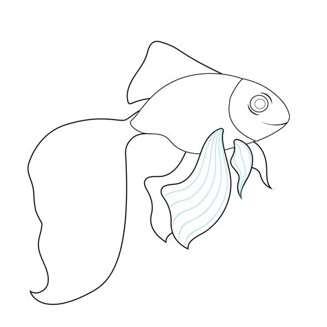 How To Draw A Goldfish Step By Step