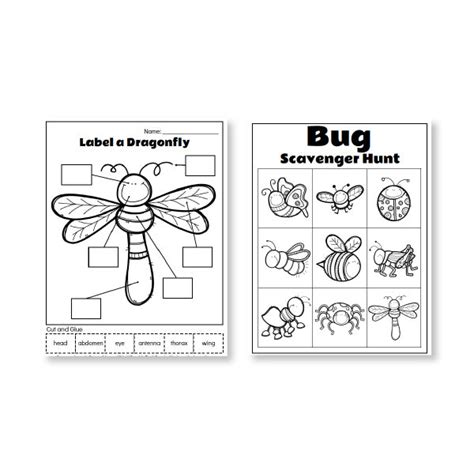 Insect Worksheet For Kindergarten