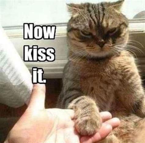 21 Cute Memes That Prove That Kissing Is Great: Mind Your Lips
