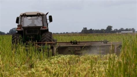 La Provincia Lanz Nuevas Medidas Para El Sector Agropecuario