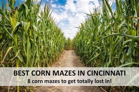 Best Corn Mazes Near Cincinnati - Get Lost In One This Fall! {2024 ...