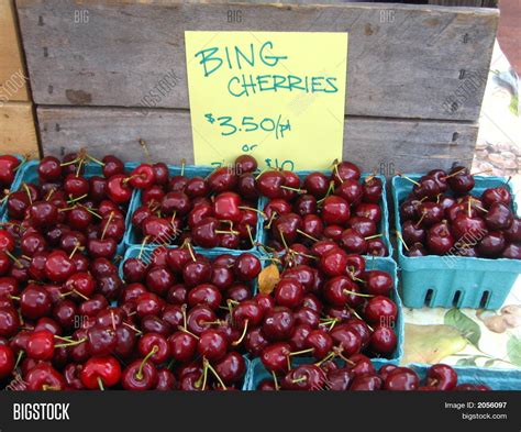 Bing Cherries Season Image & Photo (Free Trial) | Bigstock