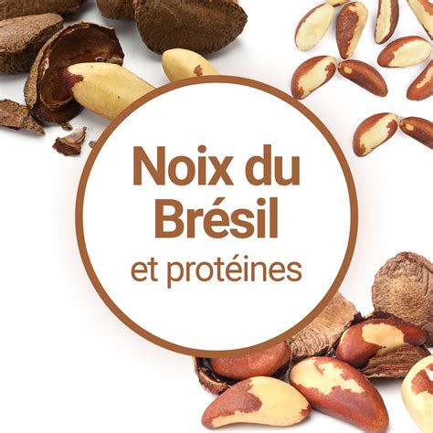 Les Prot Ines Des Noix Du Br Sil Ont Elles Des Bienfaits En Musculation