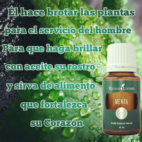 Beneficia Potencialmente Tu Salud Con Una De Las Plantas Mas Antiguas