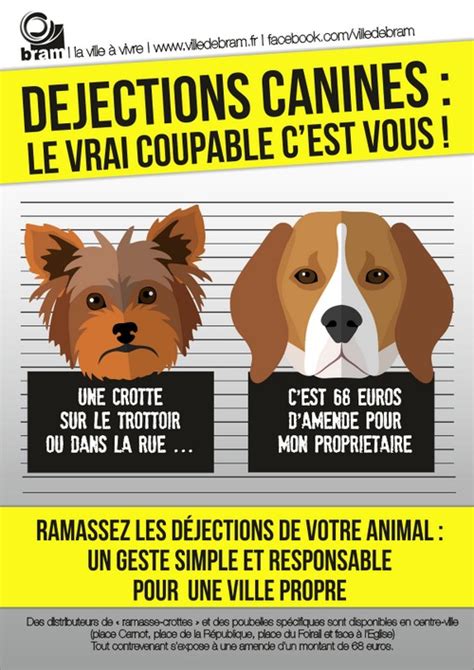 Collectivités Déjections canines incivilités et propreté