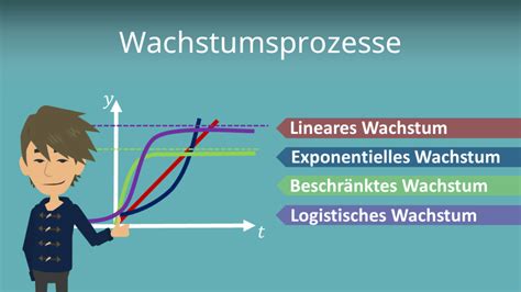 Lineares Wachstum Erkl Rung Beispiel Mit Video