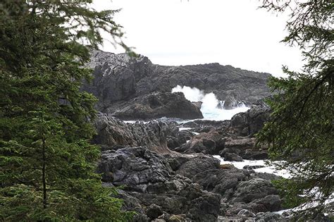 Ucluelet Wild Pacific Trail III | GoTofino.Com