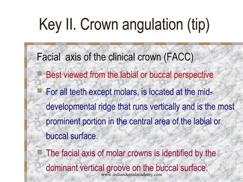 Andrews 6 Keys Of Normal Occlusion Certified Fixed Orthodontic Courses By Indian Dental Academy