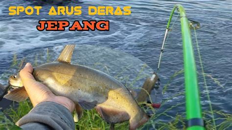 Tarikannya Bikin Degdegan Sambaran Ikan Besar Arus Deras Youtube