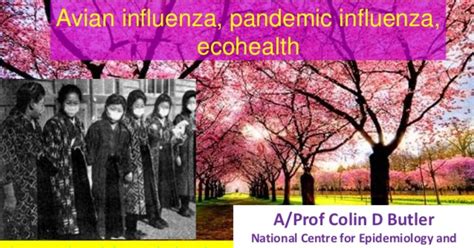 avian influenza pandemic influenza ecohealth