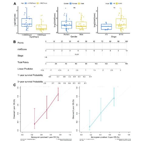 Independent Prognostic Analysis In Mrtk A Correlation Analysis