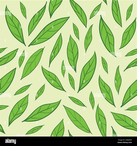 Natural Green Tea Stock Vector Images Alamy