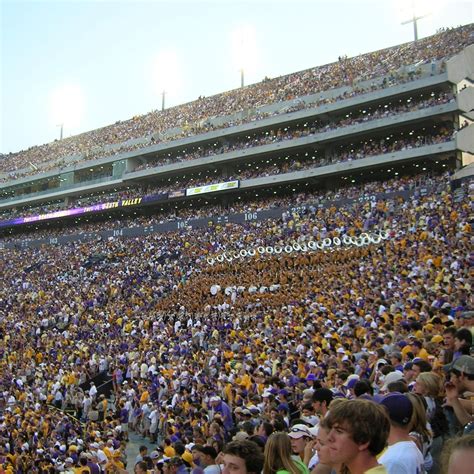 LSU Tiger Controversy — Elliott Mag