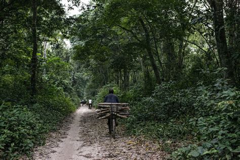 Maps Help Distinguish between cyclical farming and deforestation in the ...