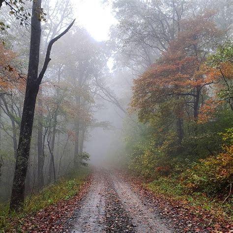 Blue Ridge, GA Fall Foliage | Blue Ridge, GA