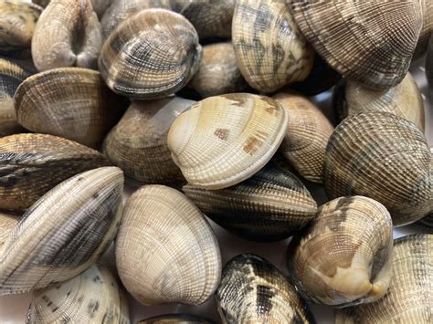 Pasta Alle Vongole – Cook and Drink