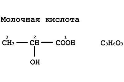 Вред и польза молочной кислоты для организма