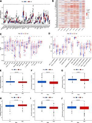 Frontiers Chromatin Regulators Related Lncrna Signature Predicting