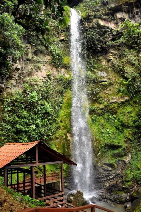 Yantzaza El Valle De Las Luci Rnagas Cautiva Con Sus R Os